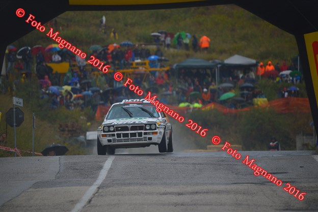 DSC_8770.JPG